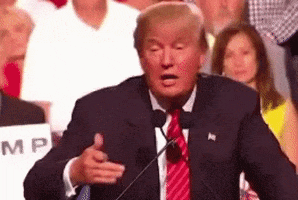 Trump GIF