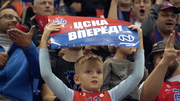 Fans Cskabasket GIF by CSKA Moscow