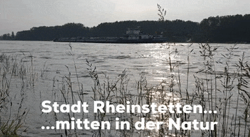 Rhein GIF by Stadt Rheinstetten