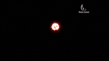 manas  GIF