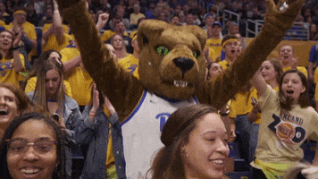 Excited College Sports GIF by Pitt Panthers