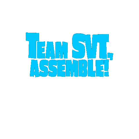 Team Assemble Sticker by SEVENTEEN