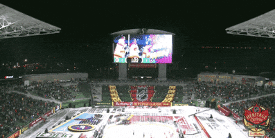 Ice Hockey Sport GIF by NHL