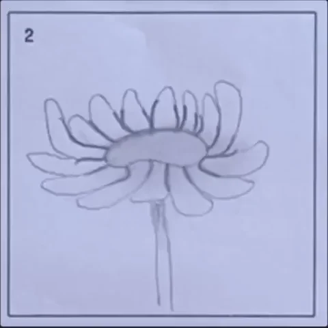 Flower Bloom GIF