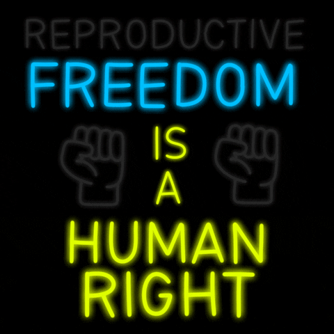 Digital art gif. Neon light-style font over a black background reads the message, “Freedom is a human right.” Lights flicker and turn on to reveal two fists and a new message that reads, “Reproductive freedom is a human right.”