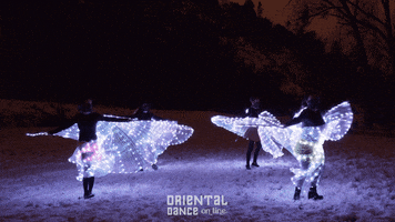Snow Bellydance GIF by Oriental Dance on line
