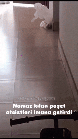 Islam Iman GIF