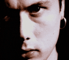 Suede GIF