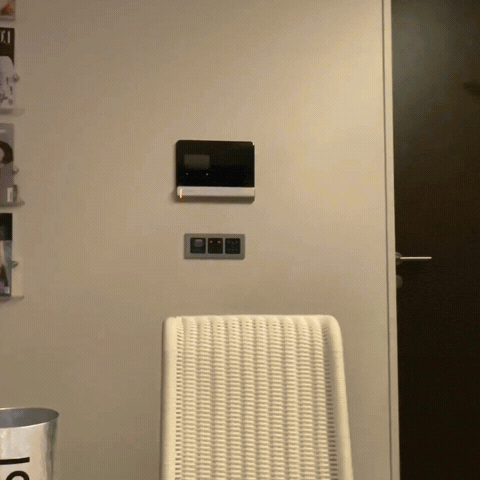 Sassy Kim Mingyu GIF