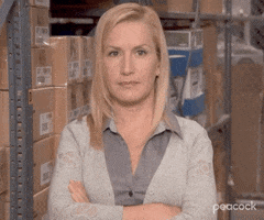 Season 9 Episode 20 GIF by The Office