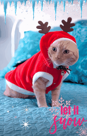 Christmas Reindeer GIF by funimagesvip