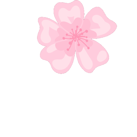 Cherry Blossoms Pink Sticker for iOS & Android, GIPHY
