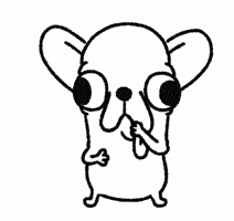 Chihuahua Godg GIF by godgwawa