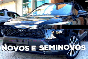 Radial Automóveis GIF