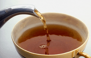 200.gif?cid=fc005b0899230e3cf3afc8317a16d924fa57100273d17ffd&ep=v1_gifs_random&rid=200.gif&ct=g