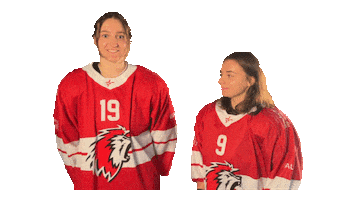 Celebration Hockey Sticker by HCFL