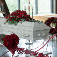 200.gif?cid=fc005b08087e0e6e3f9516b76ceff95858d7b85dc677acf1&rid=200.gif&ct=g