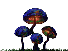 Magic Mushroom Rainbow Sticker