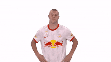 Game Over End GIF by FC Red Bull Salzburg