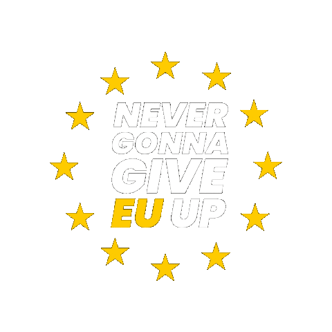 European Union Vote Sticker by NRW Jusos