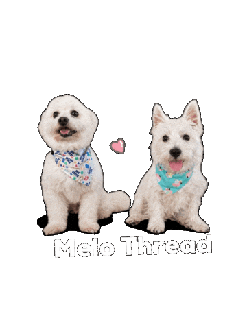Bandana Sticker by Melo Thread