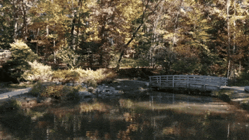 Water Autumn GIF by James Madison University