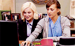 parks and rec