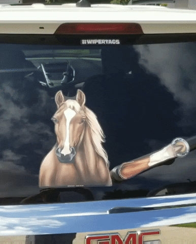 Brown Horse GIF by WiperTags Wiper Covers
