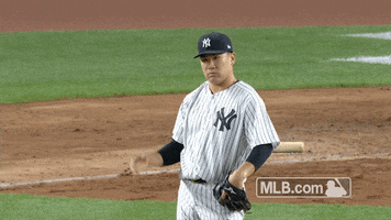New York Yankees Catch GIF by MLB