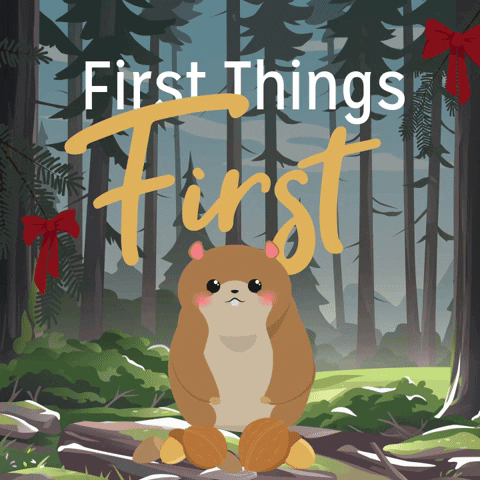 First Things First Christmas GIF by typix