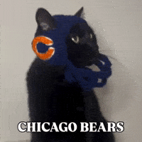 Chicago Bears Football GIF by Respective