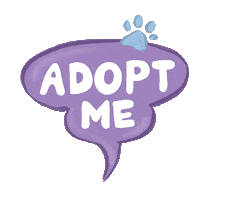 Cat Adopt Sticker