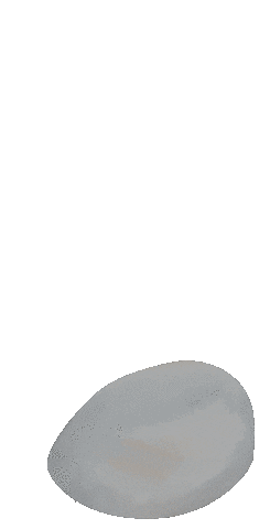 Sticker by cocoon lab