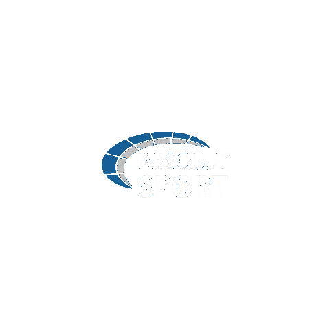 Libertadores Asb Sticker by ABSOLUT Sport Brasil