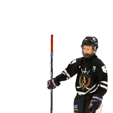 Alfa hockey Sticker