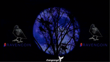 Moon Bird GIF by changeangel