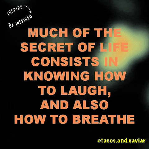 Tacos & Caviar Brand Elevation GIF