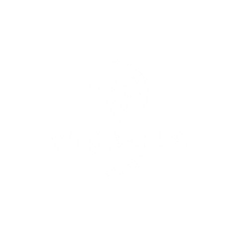 Ifly Sticker by Windalps