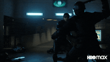 Dick Grayson Fight GIF by Max