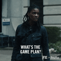 What Are We Doing Fx Networks GIF by Y: The Last Man