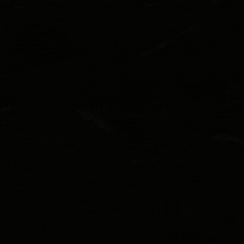 Choi Seungcheol Seventeen Meme GIF