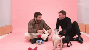 Jake Gyllenhaal Puppy GIF by BuzzFeed