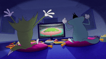 happy football GIF by Oggy and the Cockroaches