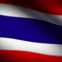 Thai Flag Sport GIF by xponentialdesign