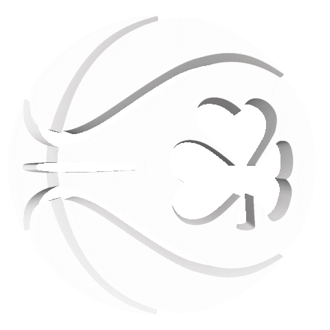 Basketball Ireland Sticker