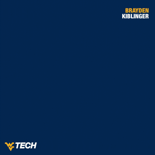 Baseball GIF by WVU Tech Golden Bears