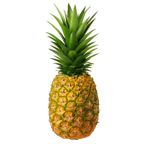 Pineapple Sticker by VAXT Sidekick