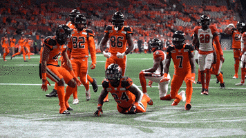 Football Sport GIF by BC Lions