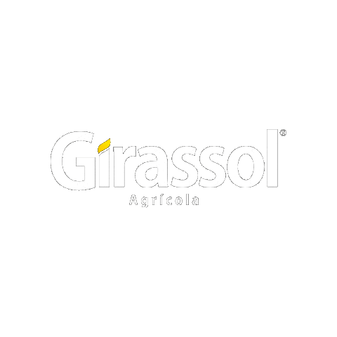 Girassol Agrícola Sticker