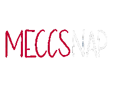 Meccsnap Sticker by Budapestiak